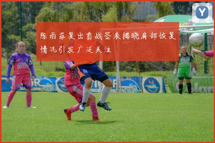 陈雨菲复出首战签表揭晓肩部恢复情况引发广泛关注