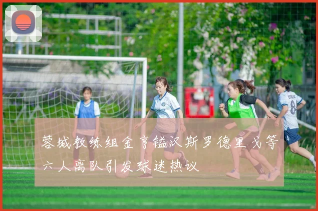 蓉城教练组金亨镒汉斯罗德里戈等六人离队引发球迷热议