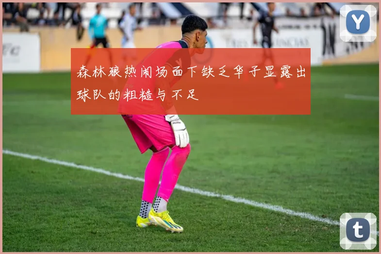 森林狼热闹场面下缺乏华子显露出球队的粗糙与不足